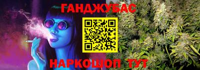 прущие грибы Можга