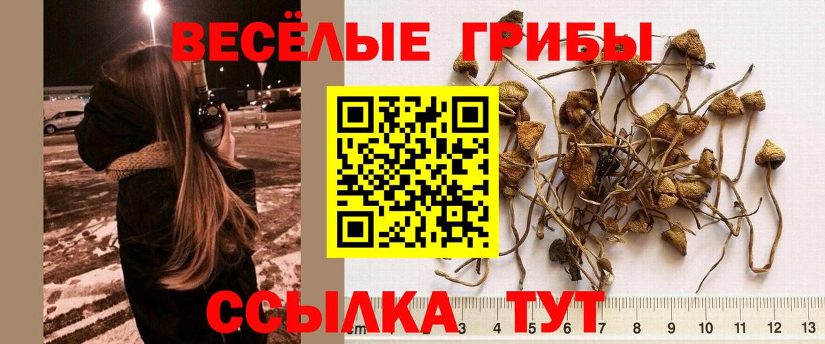 Похвистнево  Галлюциногенные грибы GOLDEN TEACHER  где продают наркотики  Вход с VPN 